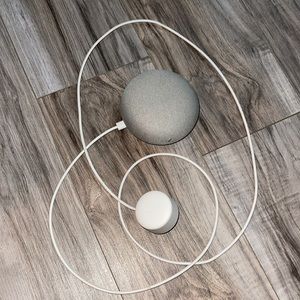 Google home mini
